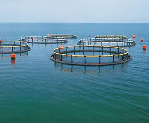 水產養殖行業